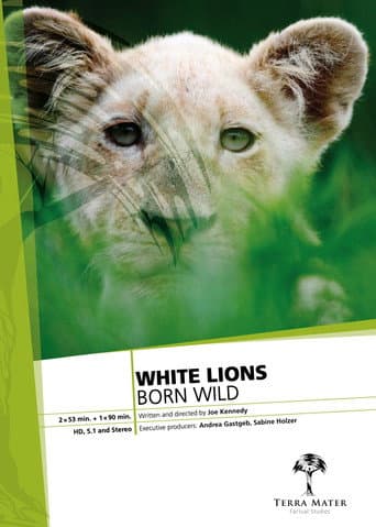 Poster for White Lions Born Wild