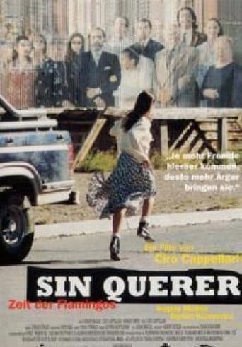 Poster for Sin querer