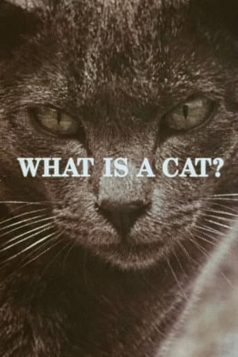Poster for What Is a Cat?