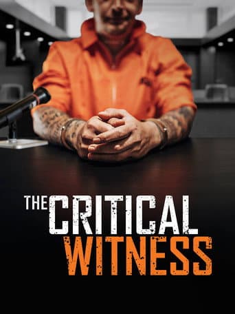 Poster for The Critical Witness