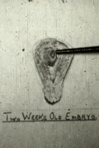 Poster for The Creation Of Life