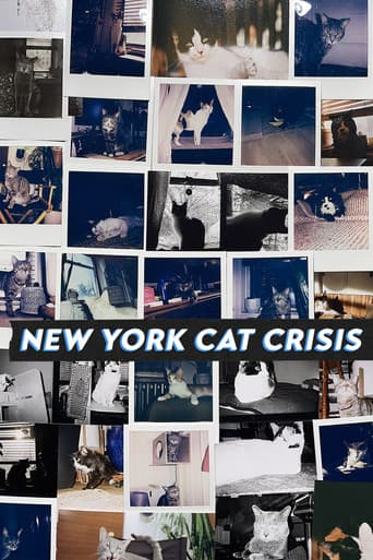 Poster for New York Cat Crisis