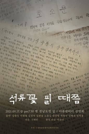 Poster for When the Pomegranate Flowers Bloom