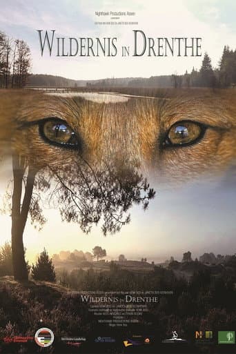 Poster for Wildernis in Drenthe