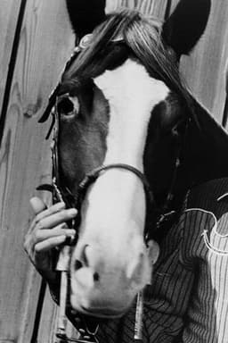Photo of Champion