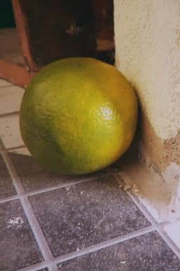 Photo of Laranja