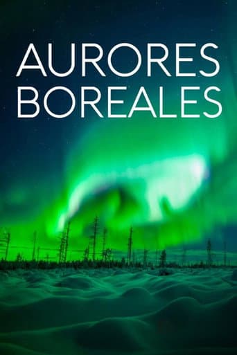 Poster for Revontulien armoilla