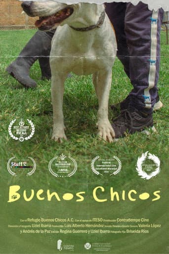 Poster for Buenos Chicos