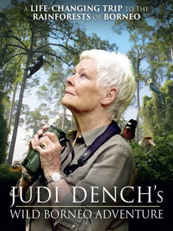 Poster for Judi Dench's Wild Borneo Adventure