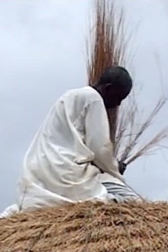 Poster for Diyam Wala: Water and Life in Kalfou Cameroon