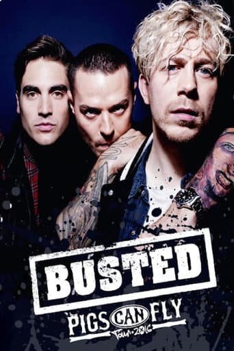 Poster for Busted: Pigs Can Fly Tour 2016