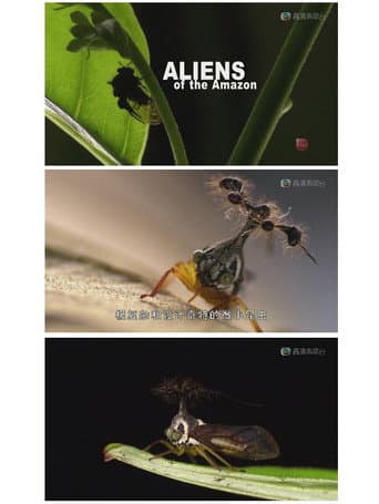 Poster for Aliens of the Amazon