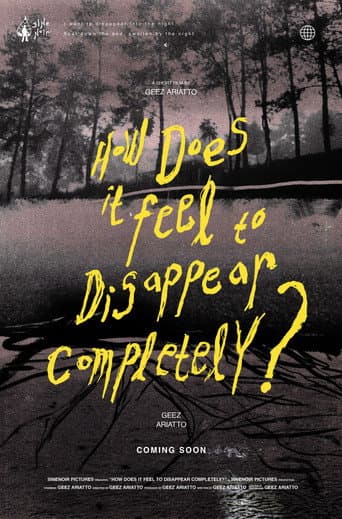 Poster for How Does It Feel to Disappear Completely?