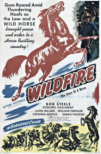 Poster for Wildfire