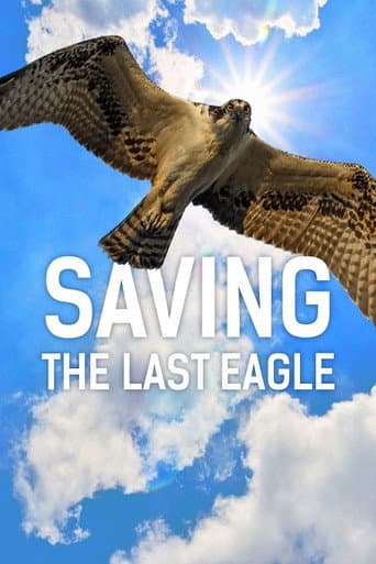 Poster for Saving The Last Eagle