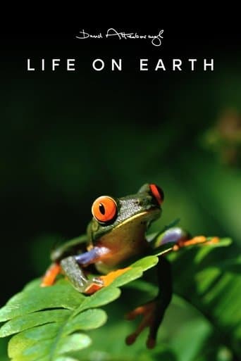 Poster for Life on Earth