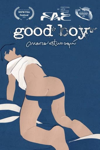 Poster for good boy