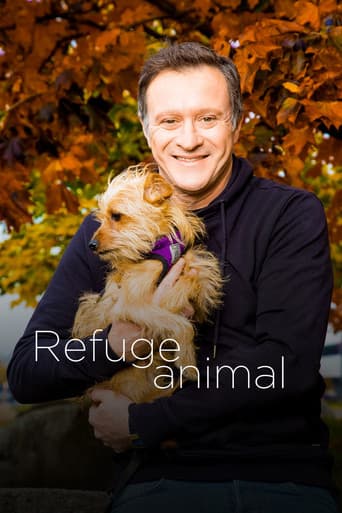 Poster for Animal Shelter