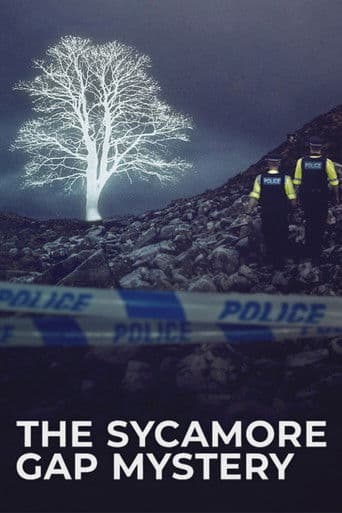 Poster for The Sycamore Gap Mystery
