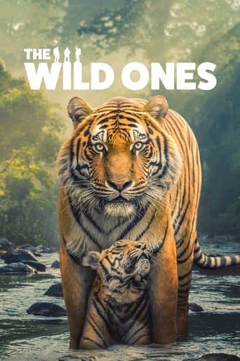 Poster for The Wild Ones
