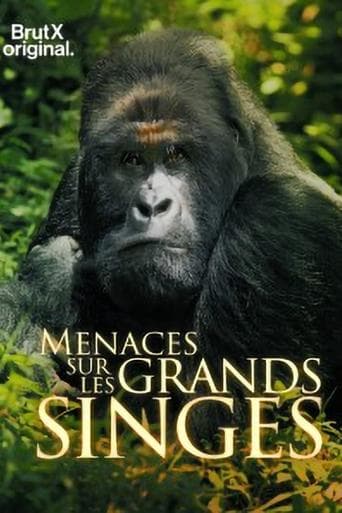 Poster for En danger : menaces sur les grands singes