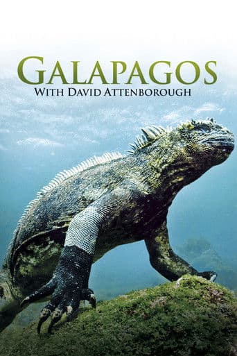 Poster for Galapagos 3D with David Attenborough
