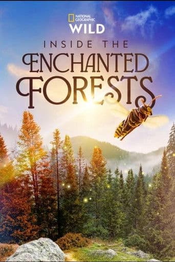 Poster for Inside the Enchanted Forests