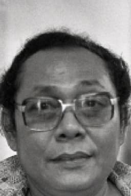 Photo of Maruli Sitompul