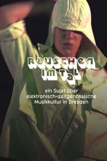 Poster for Rauschen im Tal