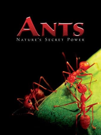 Poster for Ants - Nature's Secret Power