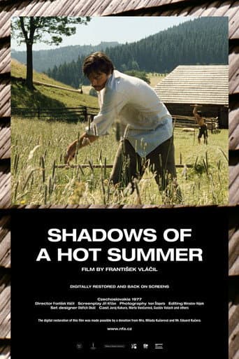 Poster for Shadows of a Hot Summer