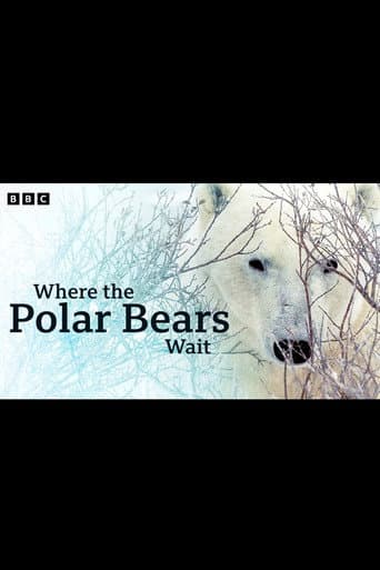 Poster for Where the Polar Bears Wait