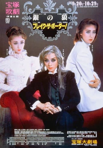 Poster for Silver Wolf /Break the Border!
