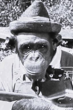 Photo of Snooky