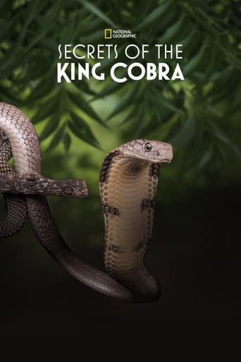 Poster for Secrets of the King Cobra