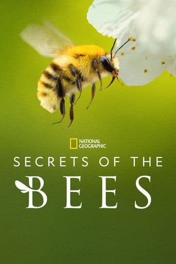 Poster for Secrets of the Bees