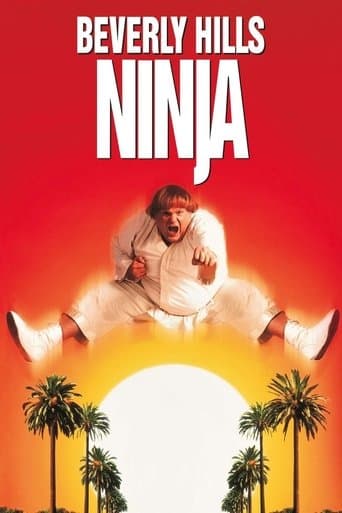 Poster for Beverly Hills Ninja