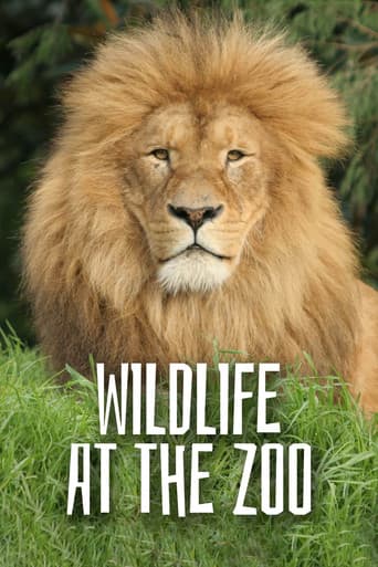 Poster for Wild Life At The Zoo