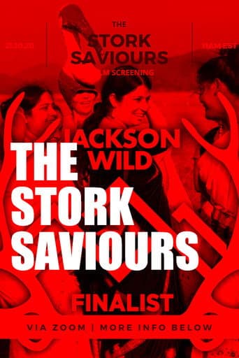 Poster for The Stork Saviours