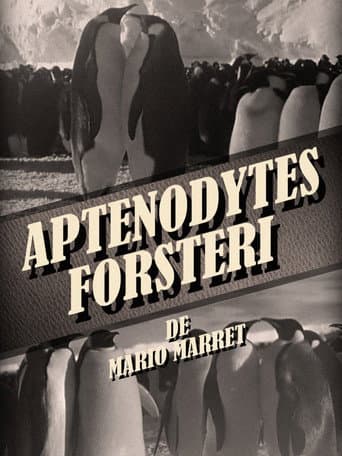 Poster for Aptenodytes Forsteri