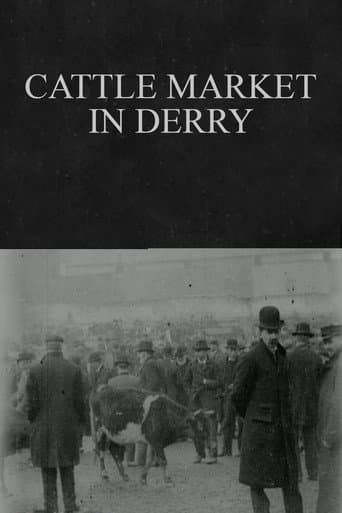 Poster for Cattle Market in Derry