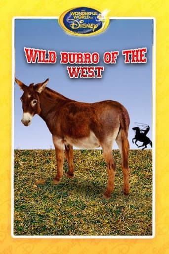 Poster for Wild Burro of the West