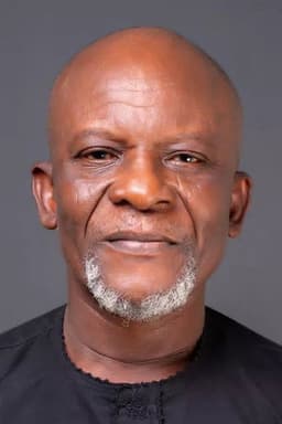 Photo of Toyin Oshinaike
