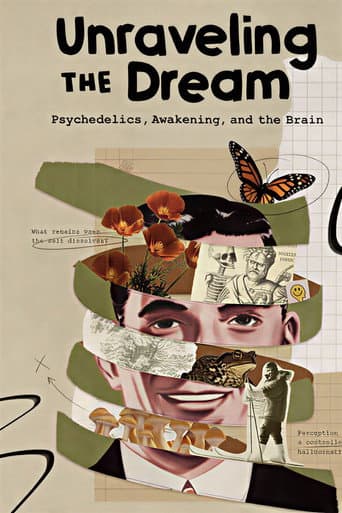 Poster for Unraveling the Dream