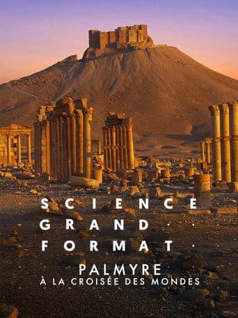 Poster for Palmyre, à la croisée des mondes