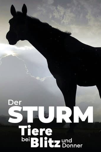 Poster for Der Sturm - Tiere bei Blitz und Donner
