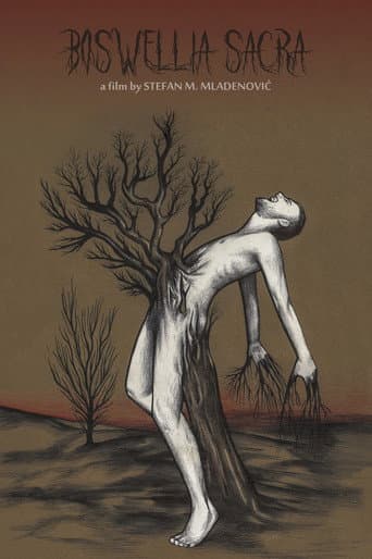 Poster for Boswellia sacra