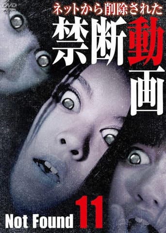 Poster for Not Found 11