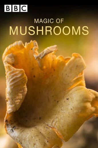 Poster for The Magic of Mushrooms