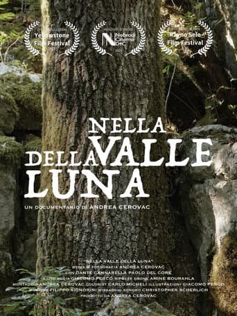 Poster for Nella Valle della Luna